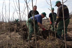 Costurile de amenajare a pepinierei care se va intinde pe 0,9 hectare la Rasnov, estimate la 2,14 milioane de lei