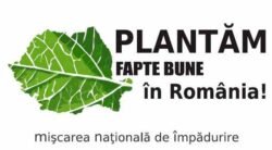 „Plantam fapte bune in Romania” – ingrijirile de vara