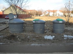 Reciclarea selectiva, o lectie greoaie pentru balseni