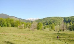 Parcul National Retezat, o experienta de neuitat de aproape 80 de ani