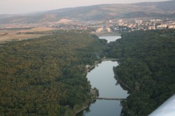 Codul Silvic va fi dezbatut marti de Camera Deputatilor. Doina Pana: ” Este un Cod Silvic benefic pentru toata lumea, in principal pentru padure”