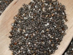 Virtutile terapeutice ale semintelor de chia