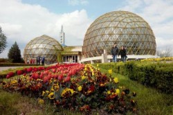 Sera de plante carnivore la Gradina Botanica Jibou
