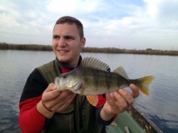 Ecologist din tata-n fiu: Andrei Togor, un salvator pentru pestii in pericol de disparitie
