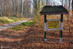 Patriarhul Daniel: Ne revine responsabilitatea pentru intreaga natura, care trebuie cultivata ca dar al lui Dumnezeu