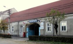 Elevii turdeni au obtinut locul III la la faza Judeteana a Proiectelor de Mediu 2014