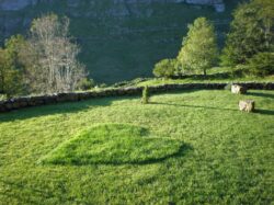 Ecologie cu iubire – Moare Miscarea de Mediu sau se Transforma?