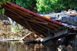 150 de tone de hrana pentru animalele afectate de inundatii, in Serbia si Bosnia