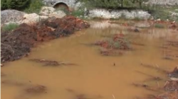 Apele Oltului Superior sunt contaminate cu metale grele de la mina Balan