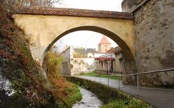 Campanie de preventie a poluarii paraurilor Graft, Timis si a Canalului Timis