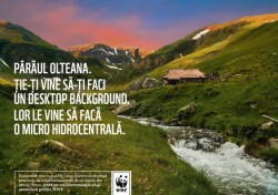 Semnati pentru salvarea raurilor din Muntii Tarcu. Consultarea publica se incheie astazi