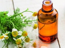 Plantele, speranta sau amagire in tratamentul cancerului?
