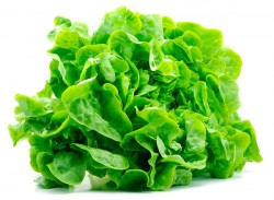 Salata Verde