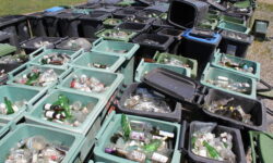 Doar 20% din deseurile de sticla sunt reciclate in Romania