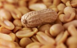 Consumul zilnic de alune reduce riscul aparitiei bolilor cardiace