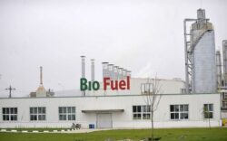 Biocombustibilii vor pamant