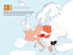 Ce nu scrie pe eticheta: „OMG-urile se gasesc in numeroase alimente in cantitati mai mici de pragul de etichetare de 0,9 la suta”