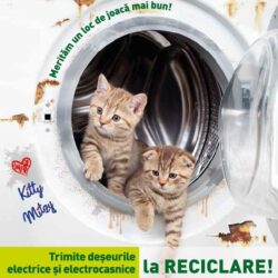 Patrula de reciclare: Cum scapam de aparatele si deseurile electrice si electronice?