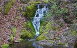 Cheile Borzestiului, salbaticia la cativa pasi de oras. Cum te poate „vindeca“ natura de stres