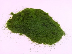Ciment ecologic - inovatie in productia materialelor de constructii