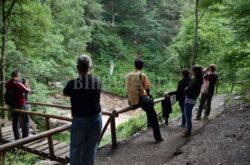Iubitorii calatoriilor in natura pot merge saptamanal in excursii prin judet, pentru a vizita Tara Beiusului si Muntii Apuseni