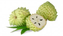 Sanatate: Graviola, fructul miraculos care lupta impotriva cancerului