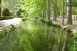 Balta ecologizata in Freidorf