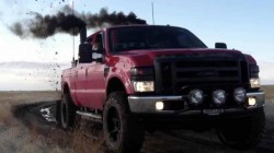 Ecologistii – tinte ambulante pentru atacuri cu fum de diesel.