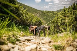 Tasuleasa Social reabiliteaza in Muntii Calimani un traseu unic: Drumul Mariei Theresia