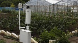 O noua era in agricultura: Tehnologii avansate pentru superproductii si din piatra seaca