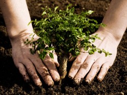 Ecologii realizeaza un proiect comun de protejare a mediului inconjurator