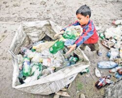 Reciclare pe lege: De ce colectarea selectiva este o obligatie si nu un moft al autoritatilor ori al ecologistilor