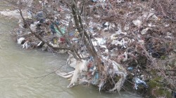IPS Andrei Andreicut chemat sa ajute ecologistii