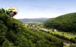 Rezervatia Nemira, coltul salbatic de natura cu flori de colt si sclipeti