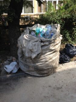 De la utilizarea petrolului, pana la poluarea oceanelor: Cinci lucruri suprinzatoare despre impactul industriei materialelor plastice asupra mediului