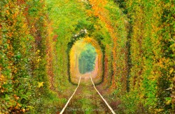 “Tunelul Iubirii” – ,,Tunelul Verde”, Din Caras Severin, Pe Lista Comorilor Ascunse Din Uniunea Europeana
