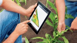 APIA – Ajutoarele de minimis pentru agricultura ecologica se platesc din 2 decembrie