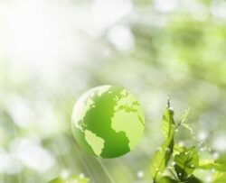 Obiceiuri de pe vremea bunicii acum solutii eco
