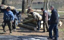 Primarii din Tara Oasului reclama defrisarile ilegale din paduri