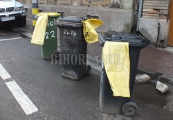 RER Ecologic Service distribuie saci galbeni oradenilor