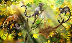 Descoperirea unor "veverite" din Jurassic ofera indicii noi cu privire la evolutia mamiferelor