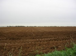 Cum crestem fertilitatea solului in agricultura ecologica?