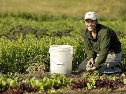 La Ploiesti, conferinta cu tema „Agricultura ecologica – oportunitate pentru Romania”