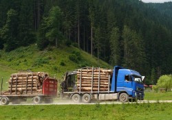 Furtul din padurile tarii: 5 miliarde de euro