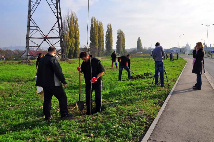 Copaci pentru tot oraşul: În această toamnă, în Oradea vor fi plantaţi peste 800 de puieţi, fiecare cu o garanţie de doi ani Copaci pentru tot ora?ul: În aceast? toamn?, în Oradea vor fi planta?i peste 800 de puie?i, fiecare cu o garan?ie de doi ani