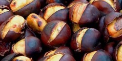 Piureul din castane, un adevarat elixir