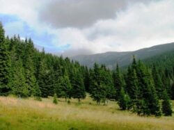 Concurs inedit la poalele Retezatului. Copii, sedentarism si schimbari climatice