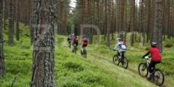 Concurs de biciclete ”Mai ieftin, mai curat, mai sanatos”, la Rau de Mori