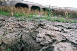 Schimbarile climatice, cauza celei mai grave secete din istoria Californiei