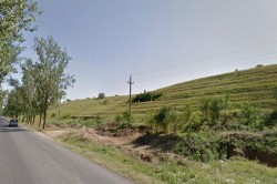 Fondul de Mediu a reluat platile pentru impadurirea terenurilor de la periferia orasului Tulcea
